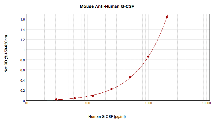 Monoclonal Mouse anti-Human CSF3 / G-CSF Antibody (WB)