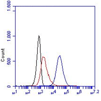 Monoclonal Rat anti-Mouse Cd200r3 Antibody (clone Ba91, WB)