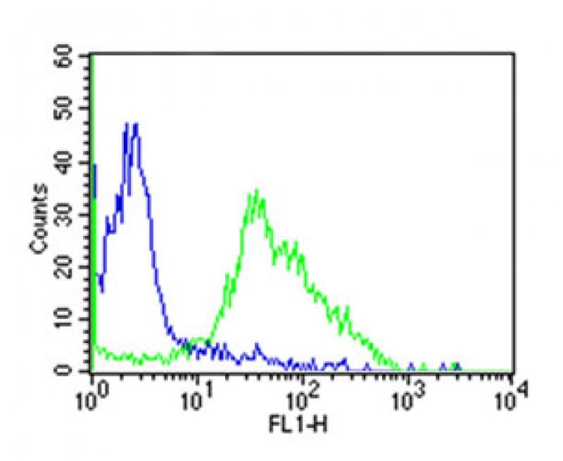CD38 Antibody (clone OKT10 Equivalent)