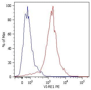 Vimentin Antibody (clone VI-RE/1)