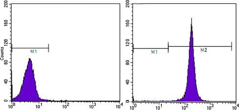 CD44 Antibody (clone 8E2F3)