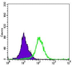 MAP2K4 / MKK4 Antibody (clone 5H4)