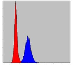 MMP9 / Gelatinase B Antibody (clone 5C3)