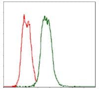 Monoclonal Mouse anti-Human CD30 Antibody (clone 3B10, WB)