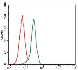 Monoclonal Mouse anti-Human FN1 / Fibronectin Antibody (clone 2F4, IHC, WB)