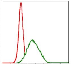 Monoclonal Mouse anti-Human MSH6 Antibody (clone 30, IHC, IF, WB)