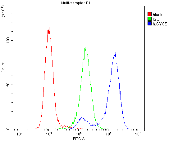 CYCS / Cytochrome c Antibody (clone 15F10)