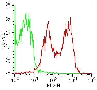 CD69 Antibody (clone FN61)