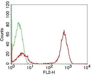 CD3D Antibody (clone OKT3, PE)