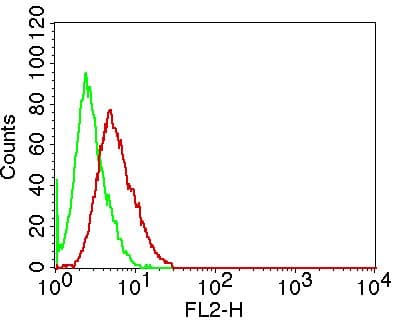 Monoclonal Mouse anti-Human CREB1 / CREB Antibody