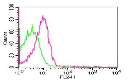 FOXP3 Antibody (clone 3G3)