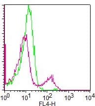CD8 Antibody (clone RPAT8, APC)