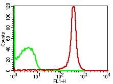CD4 Antibody (clone GK1.5, FITC)