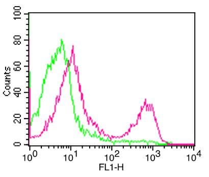 Monoclonal Hamster anti-Mouse CD247 / CD3 Zeta Antibody (clone 145-2C11)