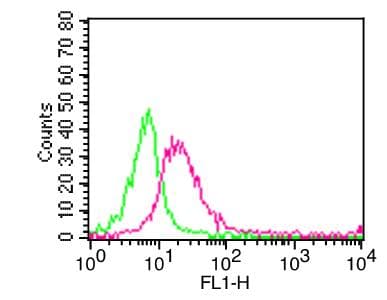 MME / CD10 Antibody (clone CB-CALLA, FITC)