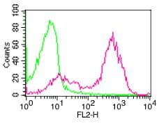 CD95 / FAS Antibody (clone BR18)