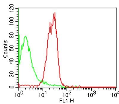 SLC3A2 / CD98 Heavy Chain Antibody (clone LN-1)