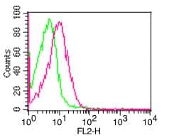 ITGB1 / Integrin Beta 1 / CD29 Antibody (clone C29MOON)