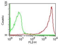 Monoclonal Mouse anti-Human CD45 / LCA Antibody (clone BRA-11G)