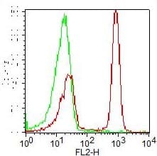 CD4 Antibody (clone OKT4, PE)
