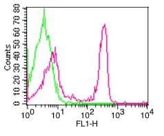 Monoclonal Mouse anti-Human CD47 Antibody (clone B6H12, FITC)