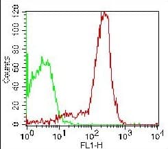 CD44 Antibody (clone 156-3C11, FITC)