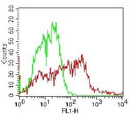 CD274 / B7-H1 / PD-L1 Antibody (FITC)