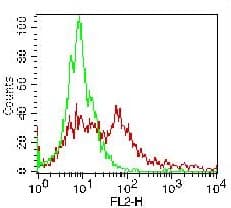 Monoclonal Mouse anti-Human CD274 / B7-H1 / PD-L1 Antibody (PE)