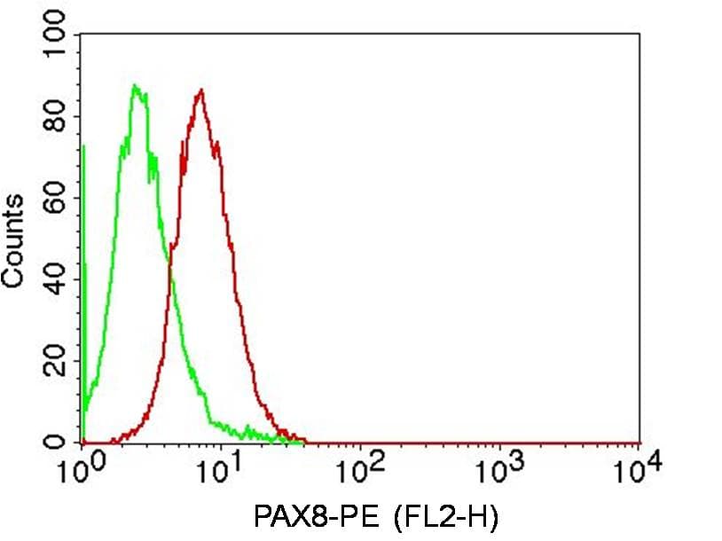 Monoclonal Mouse anti-Human PAX8 Antibody (WB)