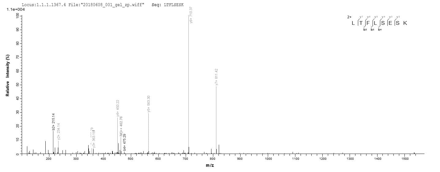 Staphylococcus epidermidis mazF Protein (Recombinant 6His, N-terminus)