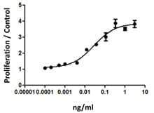 Human CSF3 / G-CSF Protein (Recombinant)