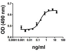 Human TGFA / TGF Alpha Protein (Recombinant)