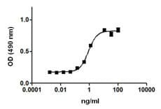 Mouse IL2 Protein (Recombinant)