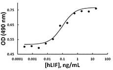 Human LIF Protein (Recombinant)