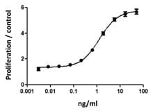 Human CSF1 / MCSF Protein (Recombinant)