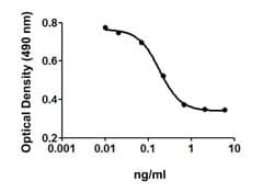 Human TGFB3 / TGF Beta3 Protein (Recombinant)