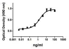 Human VEGF 165 Protein (Recombinant)