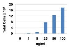 Human CCL22 / MDC Protein (Recombinant)