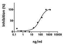 Human TNFRSF11A / RANK Protein (Recombinant)