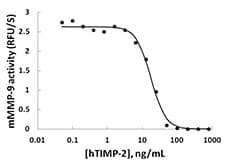 Human TIMP2 Protein (Recombinant)