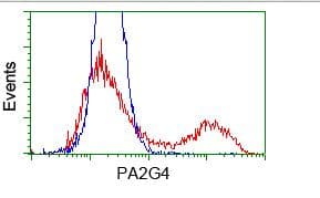 MYC / c-Myc Antibody (aa408-432)