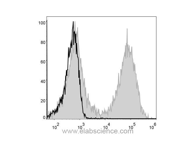 Monoclonal Rat anti-Mouse MHC Class II I-A/I-E Antibody (clone M5/114, FITC)