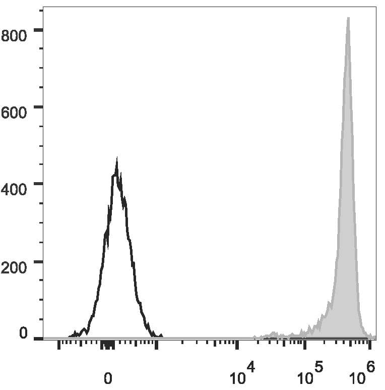 CD90.1 (Mouse) Antibody (clone OX-7, PE)