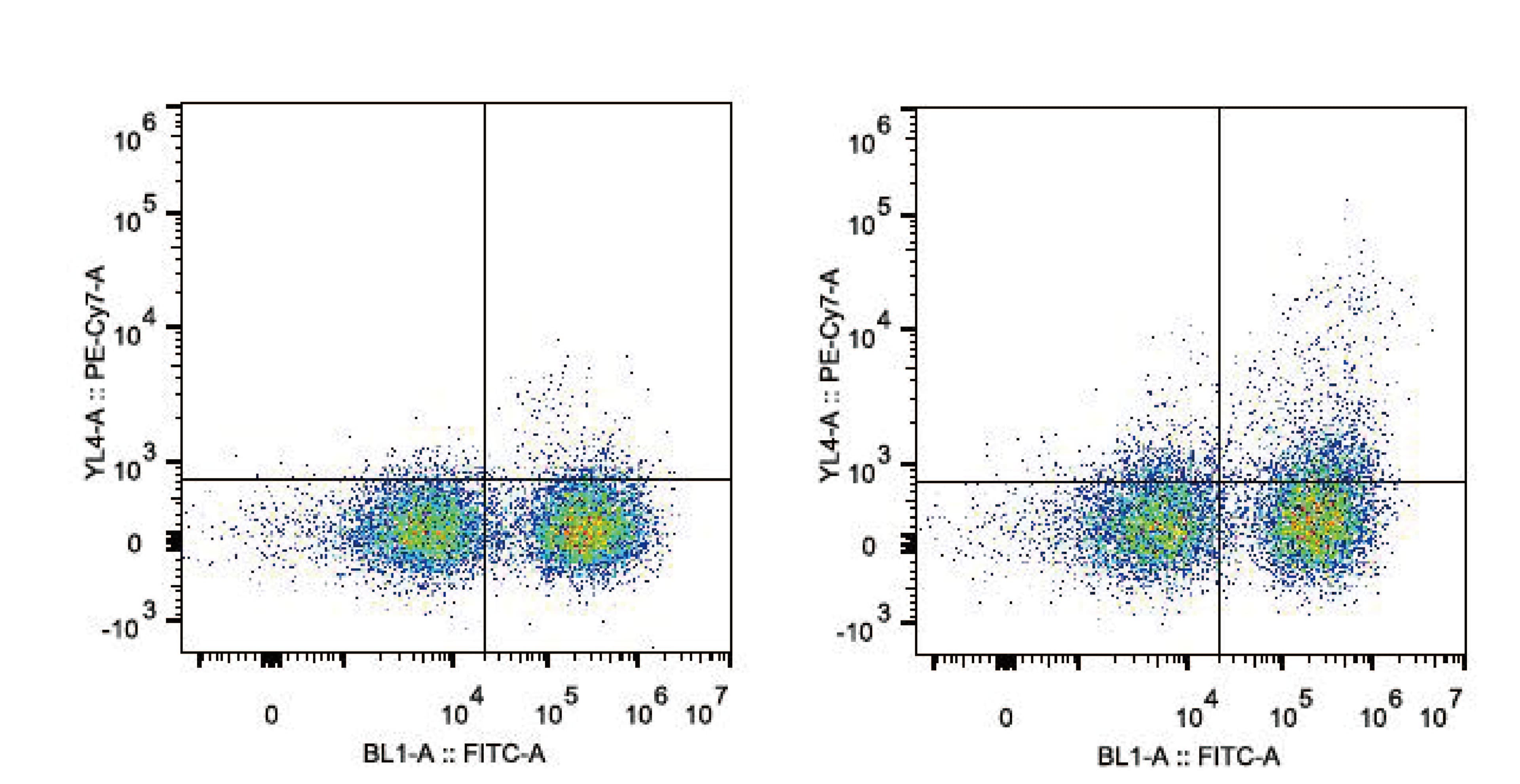 Monoclonal Hamster-Armenian anti-Mouse ITGAX / CD11c Antibody (clone N418, PE,Cy7)