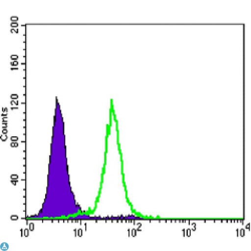 Monoclonal Mouse anti-Human CCNB1 / Cyclin B1 Antibody (IF, WB)