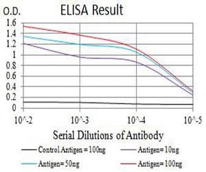 Monoclonal Mouse anti-Human CTNNB1 / Beta Catenin Antibody (clone 7C5D2, IHC, WB)