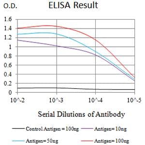Monoclonal Mouse anti-Human ATG4A Antibody (clone 8C9C2, WB)