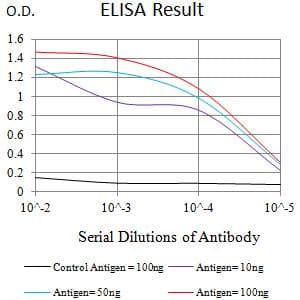 Monoclonal Mouse anti-Human BTN1A1 Antibody (clone 5B12B9, WB)