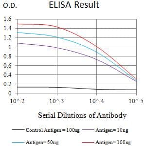 Monoclonal Mouse anti-Human IL13RA1 / IL13R Alpha 1 Antibody (clone 8A3E3, WB)