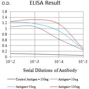 Monoclonal Mouse anti-Human MUC5B Antibody (clone 7F5A1, IHC, WB)